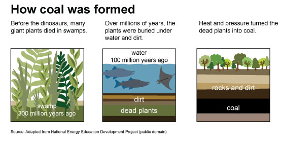 Three images showing how coal was formed. The first image is of a swamp, 300 million years ago. Before the dinosaurs, many giant plants died in swamps. The second image is of water, 100 million years ago. Over millions of years, these plants were buried under water and dirt. The third image is of rocks and dirt over the coal. Heat and pressure turned the dead plants into coal.
