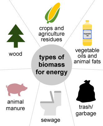 Image with different kinds of biomass types: wood, crops and agricultural residues, vegetable oils and fats, trash/garbage, sewage, and animal manure