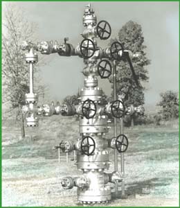 Christmas tree valve assembly.