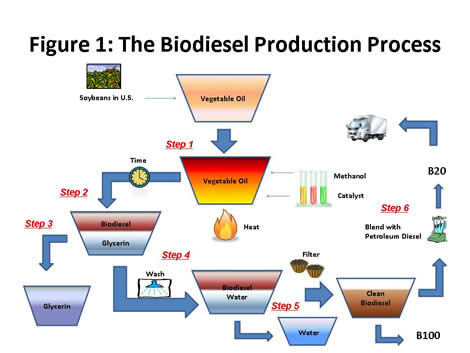Figure 1: The Biodiesel Production Process