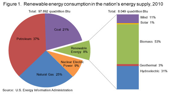 renewable energy consumption 2010