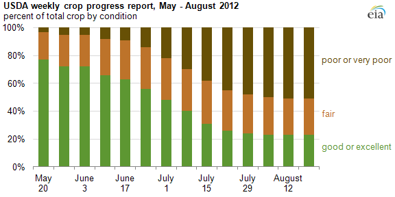 graph of U.S. crop condtion by month, May-August 2012, as described in the article text