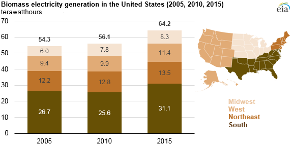 Southern states lead growth in biomass electricity generation