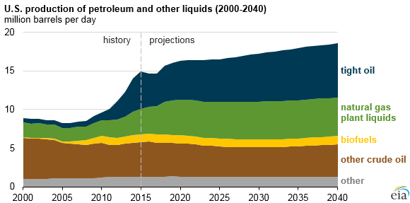 US crude oil production forecast to rise significantly by 2040 – EIA