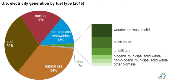 Biomass and waste fuels made up 2% of total US electricity generation in 2016