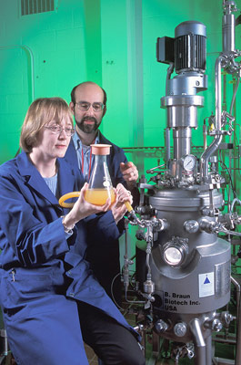 A photograph of microbiologist Nancy Nichols and biochemical engineer Bruce Dien adding yeast to a bioreactor to begin ethanol fermentation. Photo by Scott Bauer.