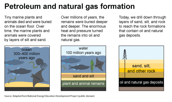 Three images that illustrate how petroleum (crude oil) and natural gas formed on the earth.

									The first image is about the ocean 300 to 400 million years ago. Tiny sea plants and animals died and were buried on the ocean floor. Over time, they were covered by layers of sand and silt.

									The second image is about the ocean 50 to 100 million years ago. Over millions of years, the remains were buried deeper and deeper. The enormous heat and pressure turned them into oil and gas.

									The third image is about oil and natural gas deposits. Today, we drill down through layers of sand, silt, and rock to reach the rock formations that contain oil and natural gas deposits.