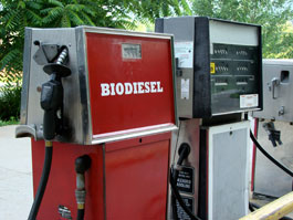 A standard gas and biodiesel pump.