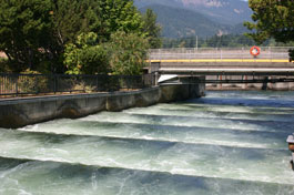 Fish ladder at the Bonneville Dam on the Columbia River separating Washington and Oregon