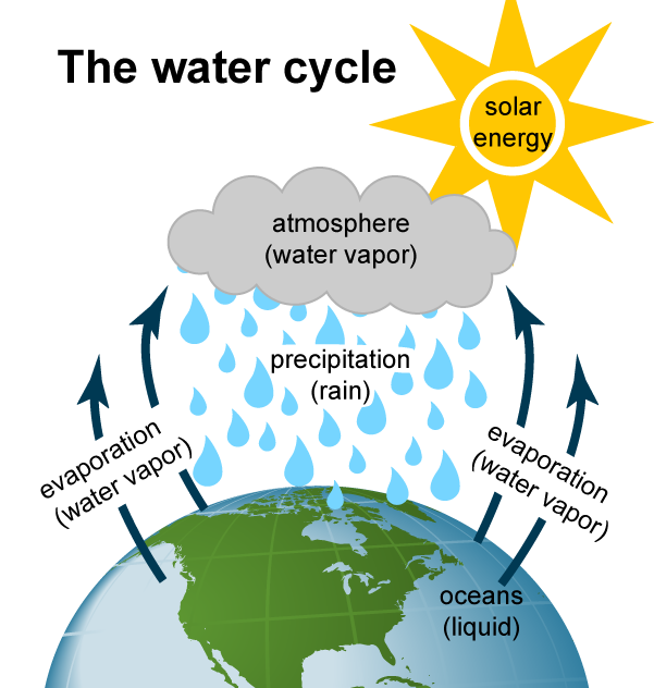 Image of the water cycle. Solar energy heats water on the surface, causing it to evaporate. This water vapor condenses into clouds and falls back onto the surface as precipitation. The water flows through rivers back into the oceans, where it can evaporate and begin the cycle over again.