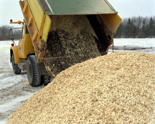 Hybrid poplar wood chips being unloaded in Crookston, Minnesota