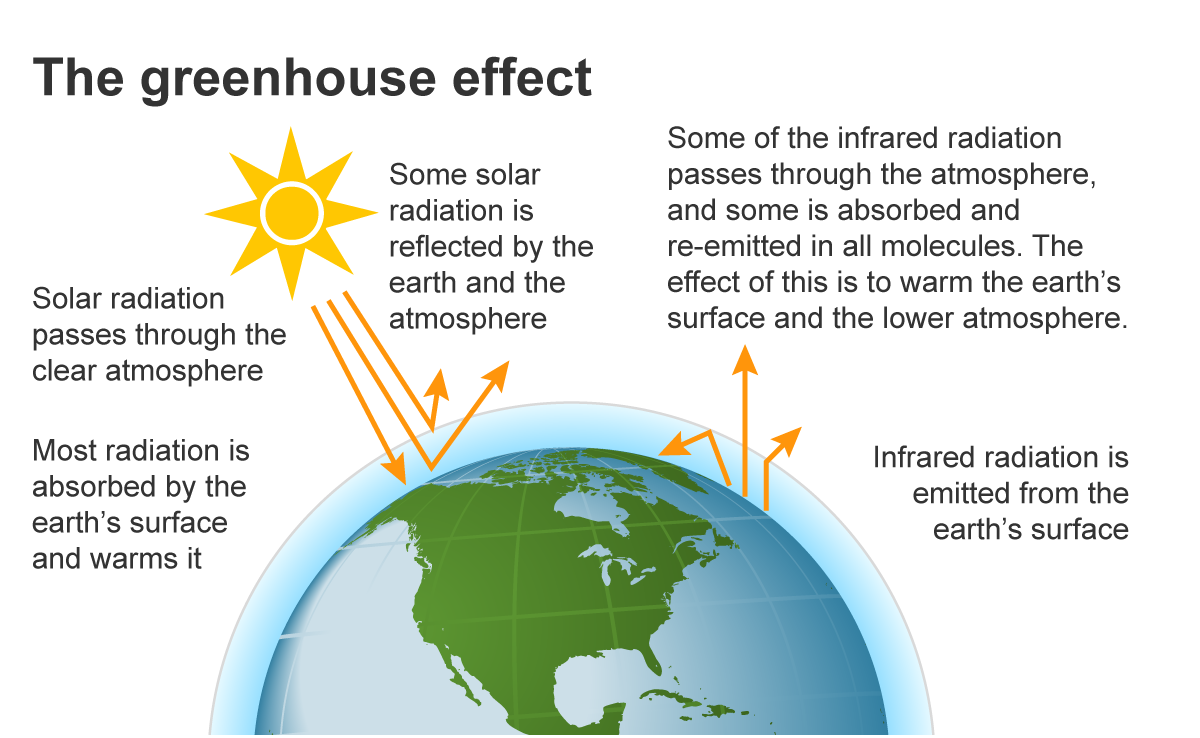 Image of the Earth showing the steps involved in the Greenhouse Effect. 1. Solar radiation passes through the clear atmosphere.  2. Most radiation is absorbed by the Earth's surface and warms it. 3. Some solar radiation is reflected by the Earth and the atmosphere.  4. Some of the infrared radiation passes through the atmosphere, and some is absorbed and re-emitted in all directions by greenhouse gas molecules. The effect of this is to warm the Earth's surface and the lower atmosphere.  5. Infrared radiation is emitted from the Earth's surface.