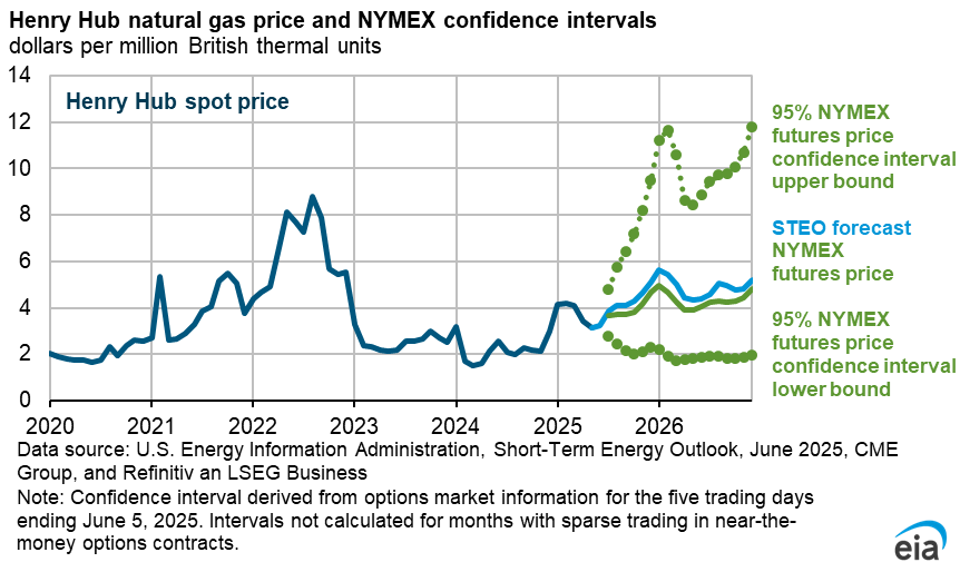Henry Hub natural gas price and NYMEX confidence interval