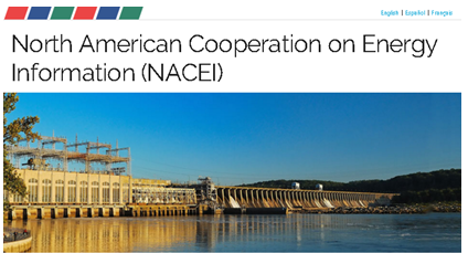 image of NACEI home page, as explained in the article text