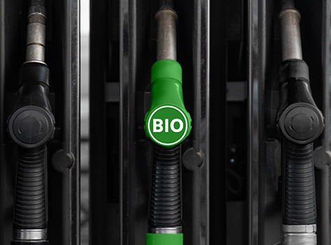 Picture of biodiesel fuel pumps