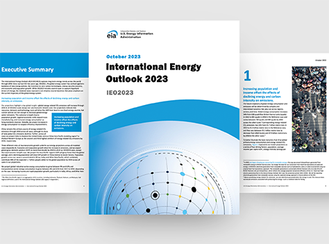 IEO report cover