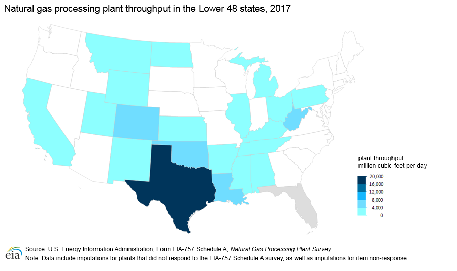 Plant throughput map