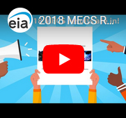 2018 MECS results video screenshot