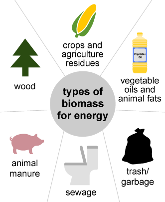 easy biomass energy diagram