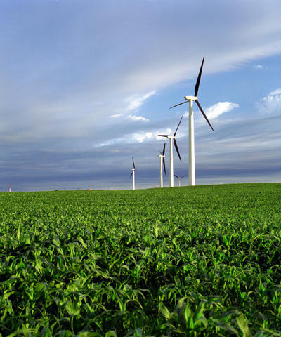 What are the different types of renewable energy?