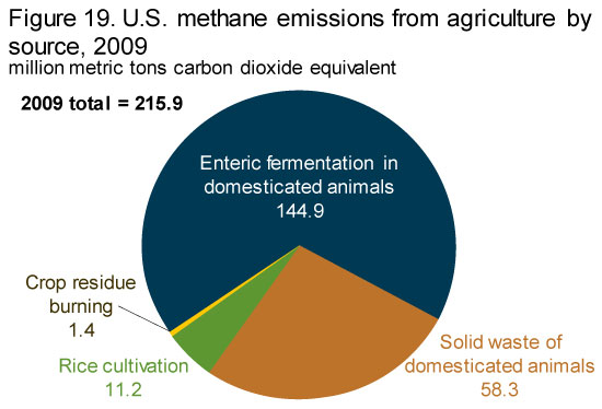 Eia Greenhouse Gas Emissions Methane Emissions