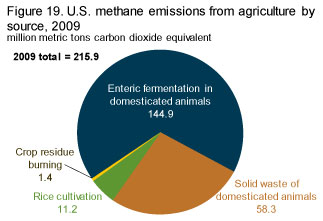 Methane Emissions by agricultural source