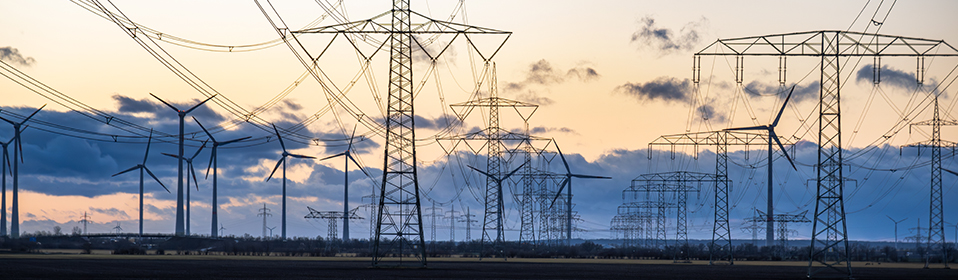 Wholesale Electricity Market Portal