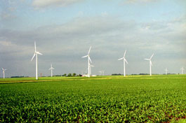 Wind Farm at The Cerro Gordo Project, West of Mason City, Iowa