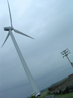 Picture of wind turbine