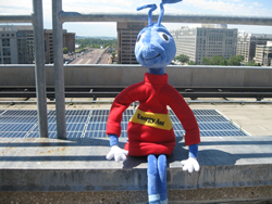 Energy Ant in solar panels on top of the U.S. Department of Energy headquarters.