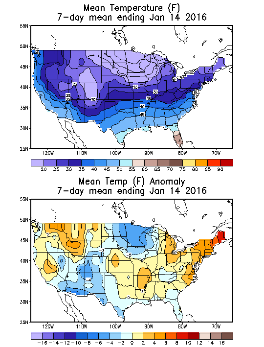 Mean Temperature Anomaly (F) 7-Day Mean ending Jan 14, 2016