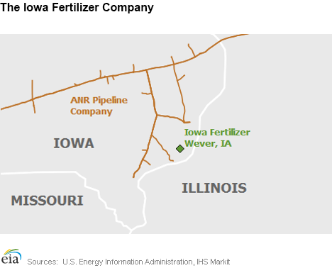 The Iowa Fertilizer Company
