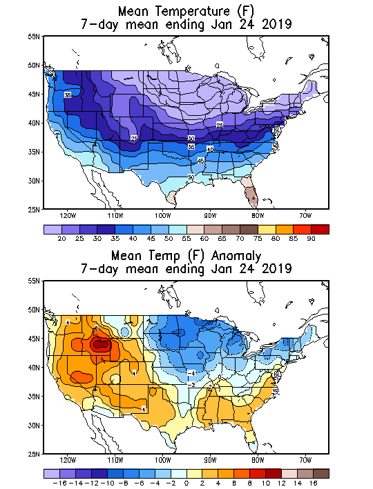 Mean Temperature (F) 7-Day Mean ending Jan 24, 2019