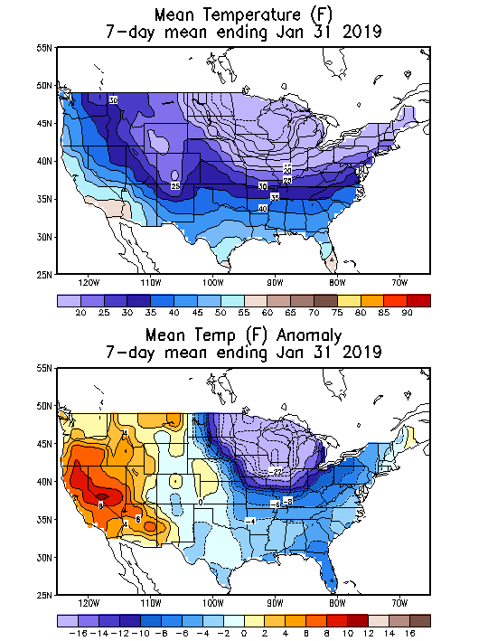 Mean Temperature (F) 7-Day Mean ending Jan 31, 2019