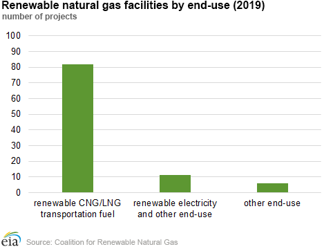 Renewable natural gas facilities by end-use (2019)