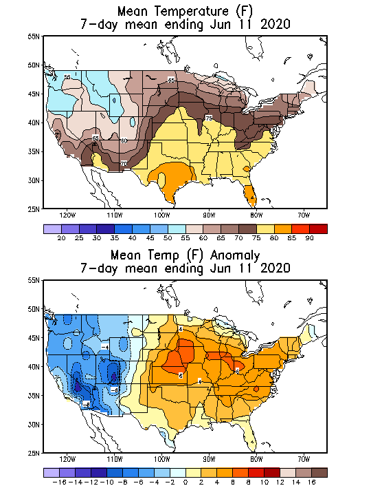 Mean Temperature Anomaly (F) 7-Day Mean ending Jun 11, 2020