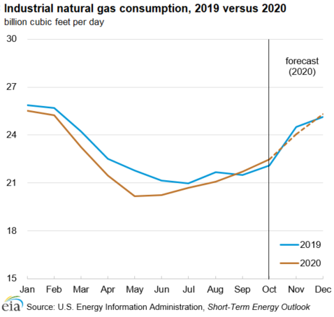 Industrial natural gas consumption, 2019 versus 2020