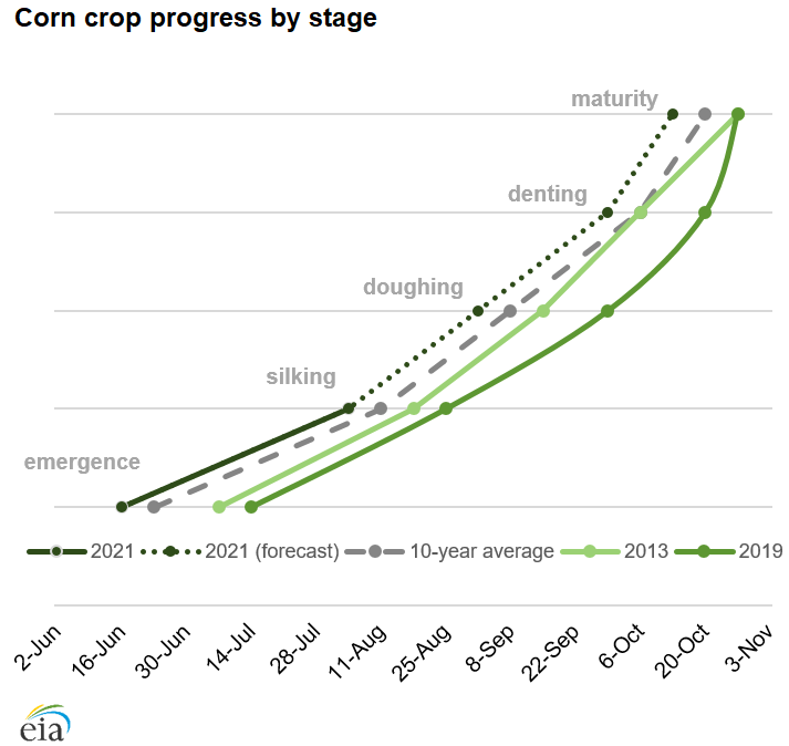 Corn crop progress by stage