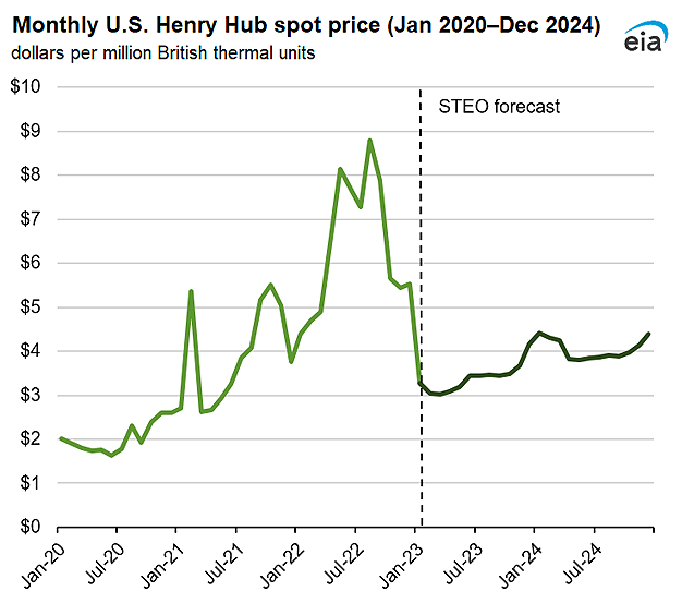 Monthly U.S. Henry Hub spot price (Jan 2020–Dec 2024)