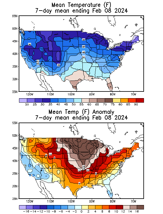 Mean Temperature (F) 7-Day Mean ending Feb 08, 2024
