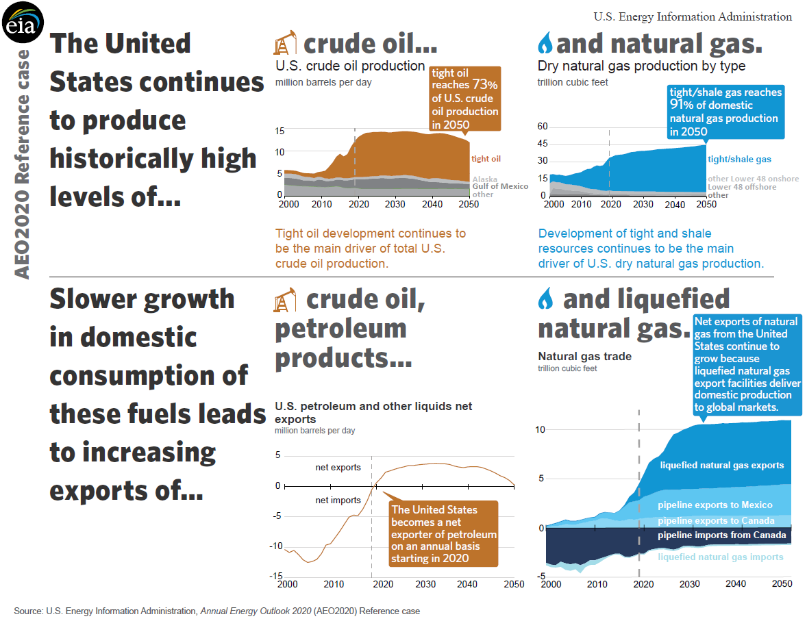 Infographic poster 3