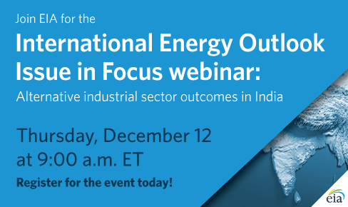 This is an 
		  International Energy Outlook (IEO) Issue in Focus Webinar banner.
