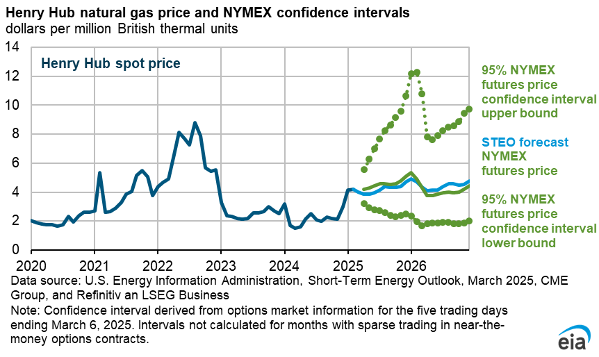 Henry Hub natural gas price and NYMEX confidence interval