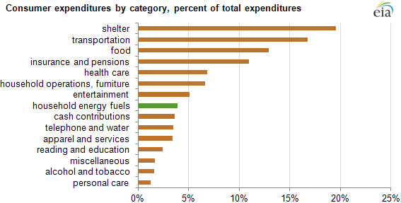 Total Energy Expenditure Chart