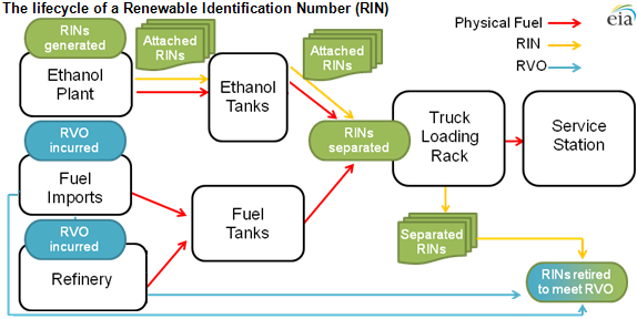 depiction of RIN lifecycle, as explained in the article text.