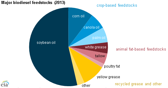 graph of major biodiesel feedstocks, as explained in the article text