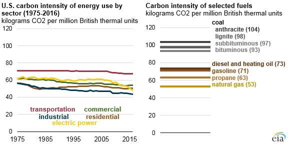 Energy Intensive Industry: Using Biomass to Reach Carbon