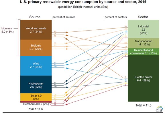 U.S. primary renewable energy consumption by source and sector