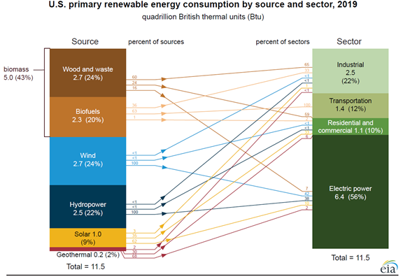 The United States consumed a record amount of renewable energy in 2019