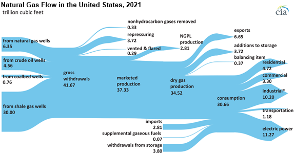 Natural gas flow in the United States, 2021